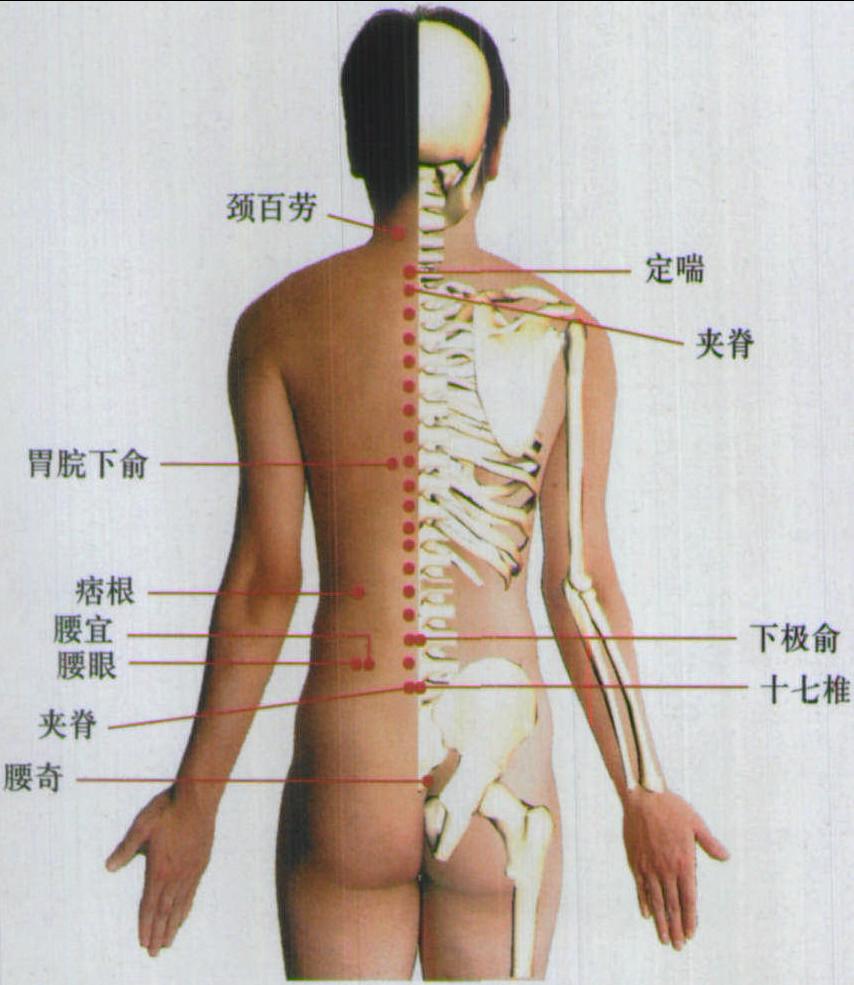 十五、經(jīng)外奇穴